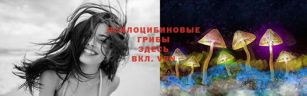 таблы Арсеньев