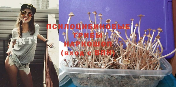 таблы Арсеньев