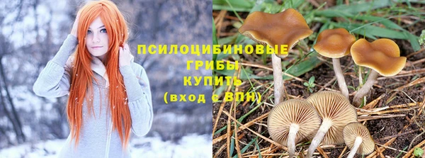 твердый Армянск