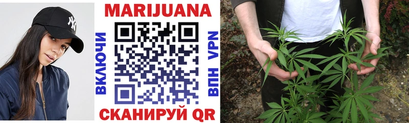 Бошки Шишки OG Kush  Купить где  Перевоз 